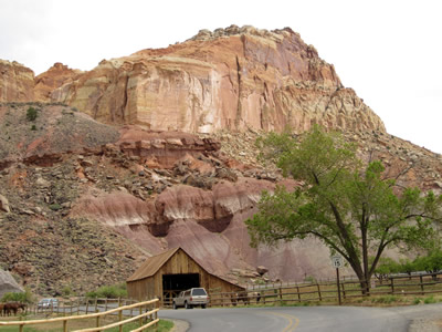 REEF ROCK